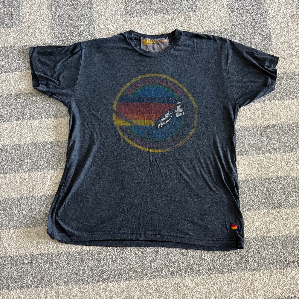 Aviator Nation Surfer Tee, La Jolla, CA